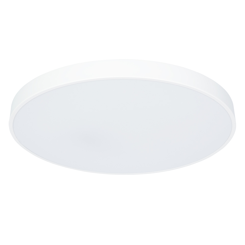 Потолочный светильник Arte Lamp ARENA A2671PL-1WH в строительном магазине