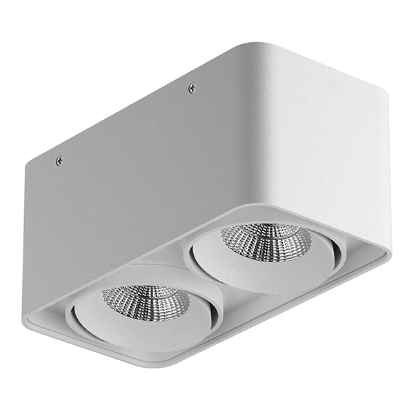 052126-IP65 Светильник MONOCCO LED 2х10W 1200LM 30G БЕЛЫЙ 4000K в строительном магазине