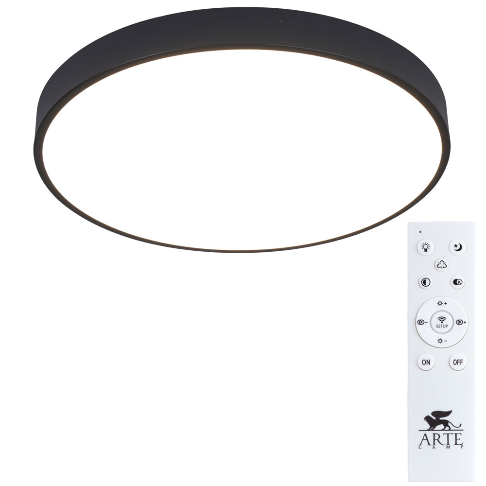 Потолочный светильник Arte Lamp ARENA A2672PL-1BK в строительном магазине