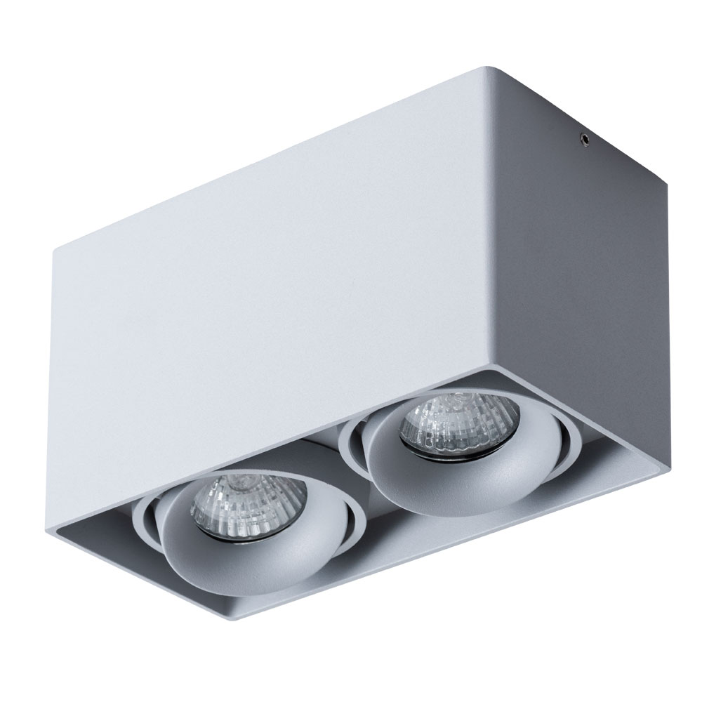 Точечный накладной светильник Arte Lamp PICTOR A5654PL-2GY в строительном магазине