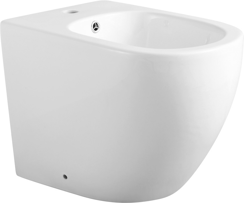 Биде напольное Aquanet Cetus 2.0 B1 LX-1831 в строительном магазине