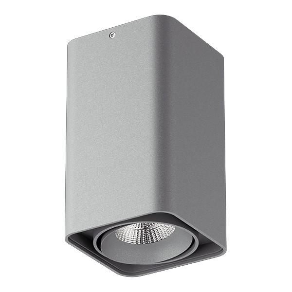 052339-IP65 Светильник MONOCCO LED10W 600LM 30G СЕРЫЙ 3000K в строительном магазине