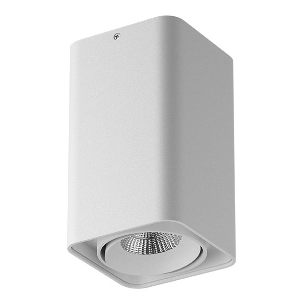052336-IP65 Светильник MONOCCO LED10W 600LM 30G БЕЛЫЙ 3000K в строительном магазине