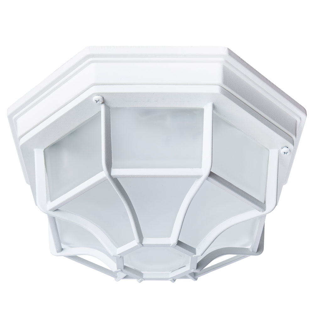 Уличный потолочный светильник Arte Lamp PEGASUS A3100PL-1WH в строительном магазине