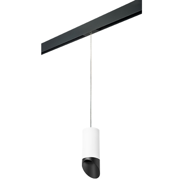PRORP648687 Светильник д/1-фазн трека RULLO HP16 (216486+595887+201487) в строительном магазине
