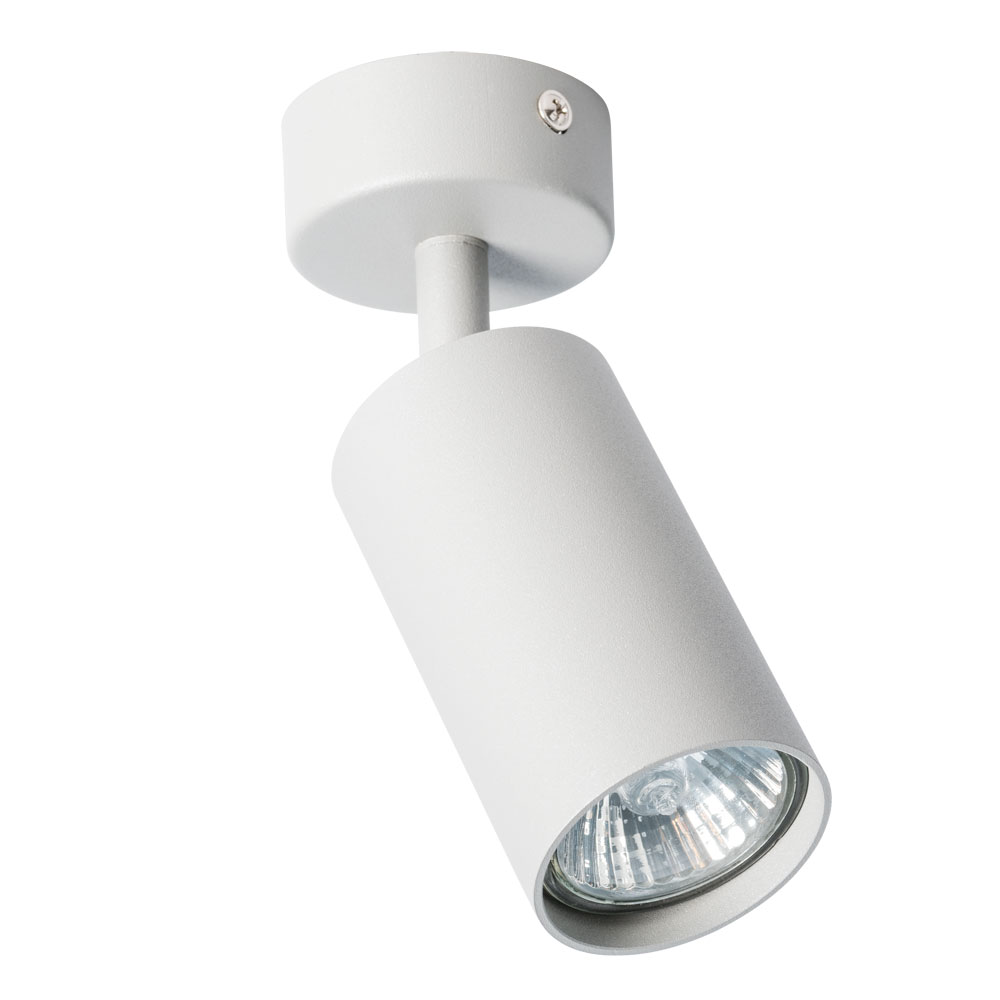 Спот Arte Lamp AQUARIUS A3216PL-1GY в строительном магазине