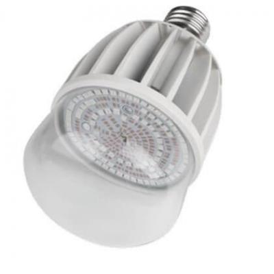 Лампа светодиодная для растений Uniel E27 20W 650K прозрачная LED-M80-20W/SP/E27/CL 11098 в строительном магазине