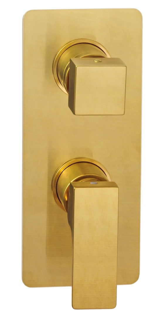 Смеситель для душа Remer Absolute AU92BG, золото брашированное в строительном магазине