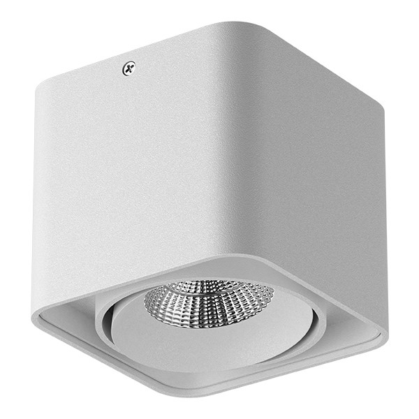 052116-IP65 Светильник MONOCCO LED10W 600LM 30G БЕЛЫЙ 4000K в строительном магазине