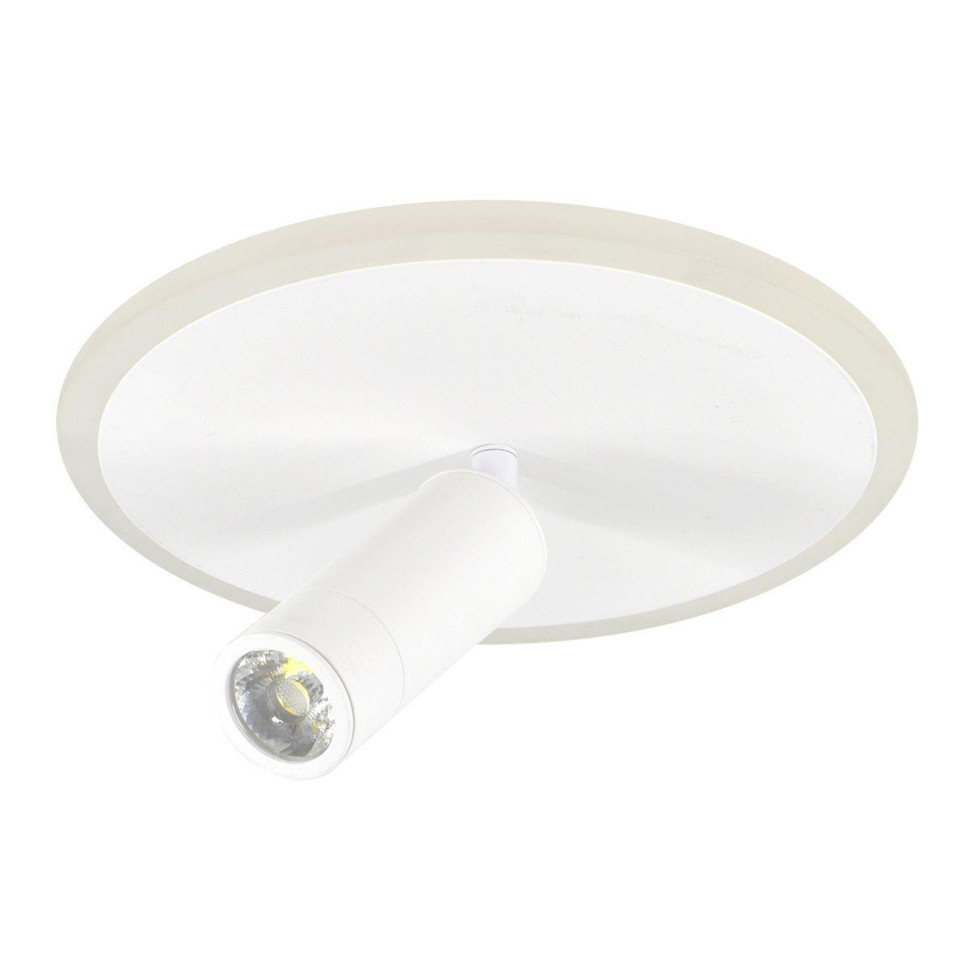 Потолочный светодиодный светильник Escada 20046SMA/01LED WH в строительном магазине