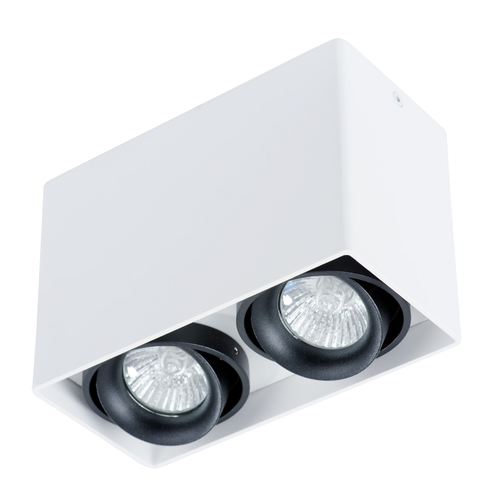Точечный накладной светильник Arte Lamp PICTOR A5655PL-2WH в строительном магазине