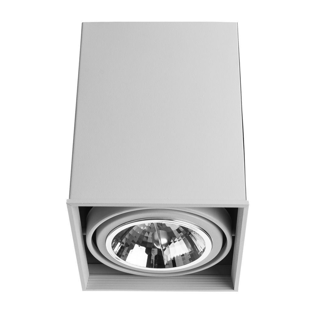 Точечный накладной светильник Arte Lamp CARDANI GRANDE A5936PL-1WH в строительном магазине