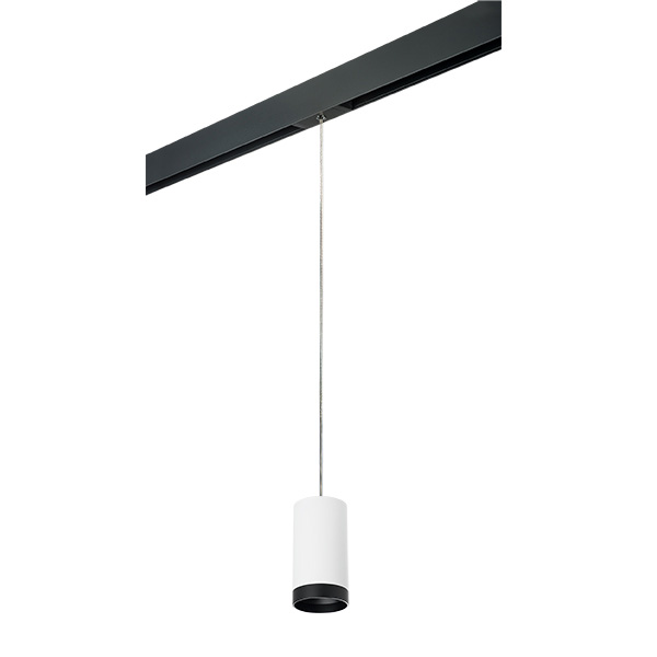 PRORP4363437 Светильник д/1-фазн трека RULLO HP16 (214436+595857+203437) в строительном магазине
