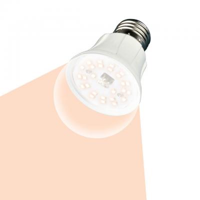 Лампа светодиодная для растений Uniel E27 10W прозрачная LED-A60-10W/SPFR/E27/CL PLP01WH UL-00001820 в строительном магазине