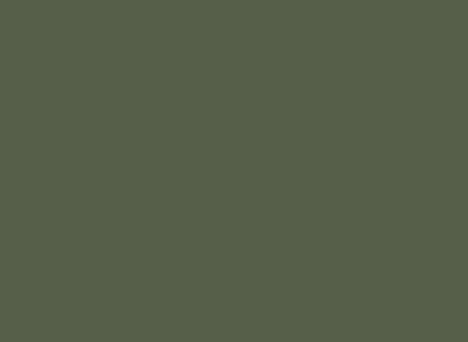 Краска интерьерная Little Greene Intelligent Matt Emulsion матовая акриловая (LG 125) готовый цвет 2,5л в строительном магазине