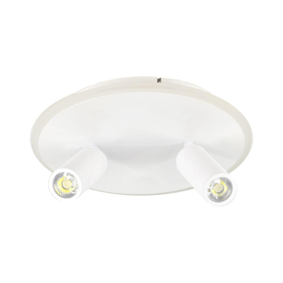 Потолочный светодиодный светильник Escada 20046SMA/02LED WH в строительном магазине