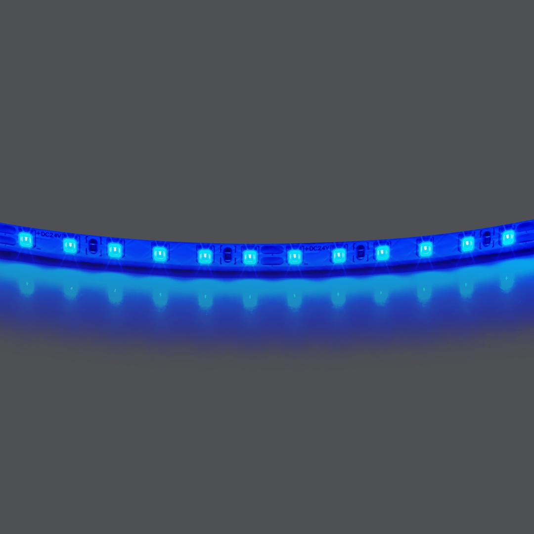 420515 Лента LIGHTSTAR LED 24V 12W 120leds/M 1600 LM/M blue IP20 1шт = 5м в строительном магазине