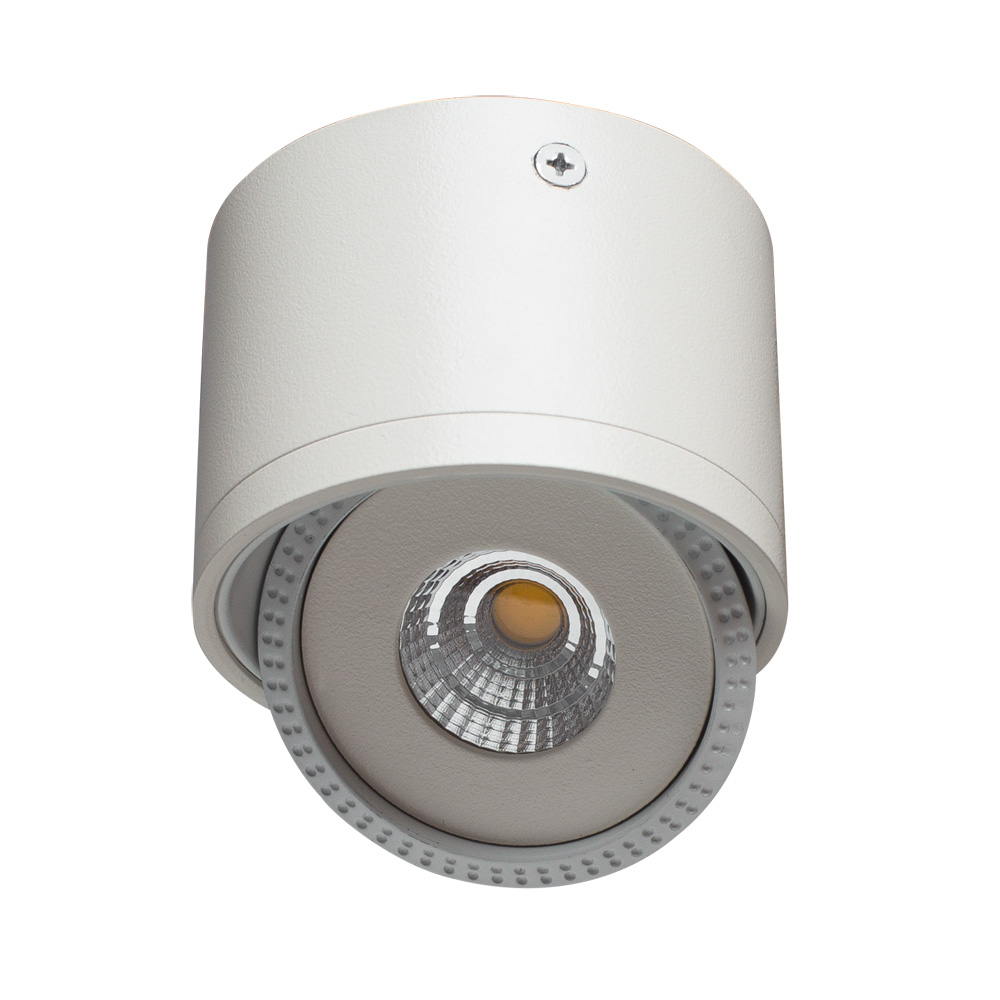 Точечный накладной светильник Arte Lamp STUDIO A4105PL-1WH в строительном магазине