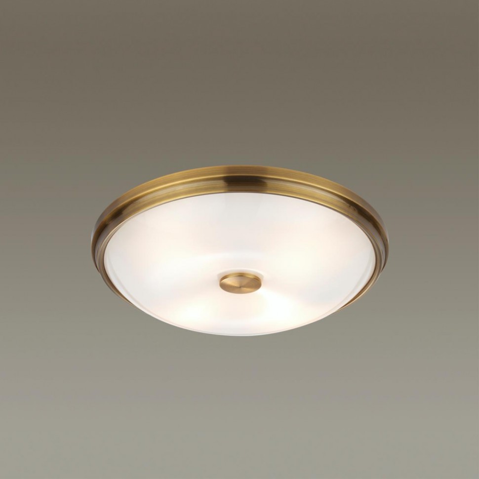 Настенно-потолочный светильник Odeon Light 4956/4 (Уцененный товар) в строительном магазине