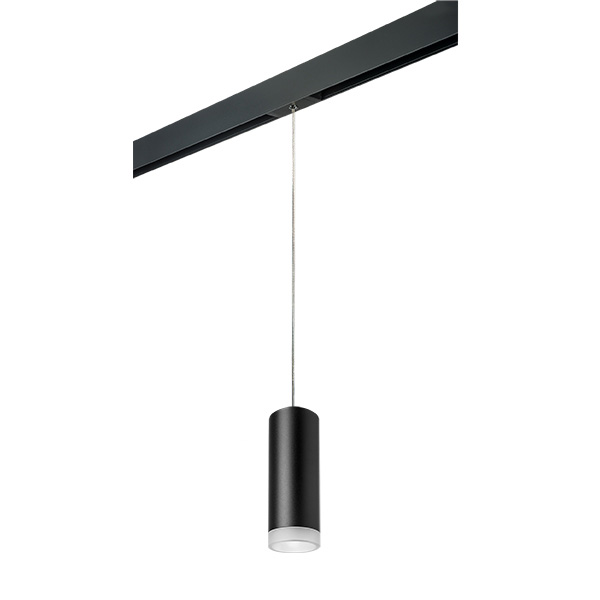 PRORP48730 Светильник д/1-фазн трека RULLO HP16 (214487+595857+202430) в строительном магазине