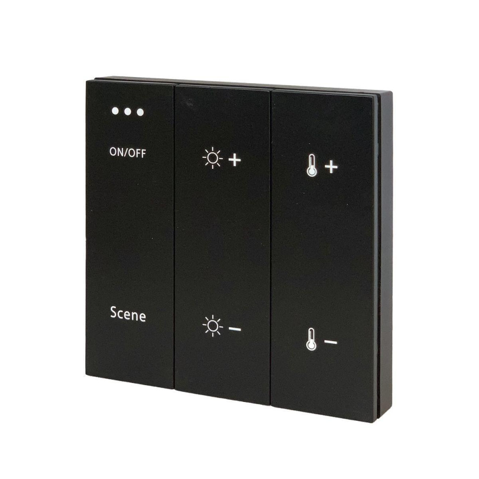 Панель управления ДУ ST Luce Skyline ST015.400.99 в строительном магазине