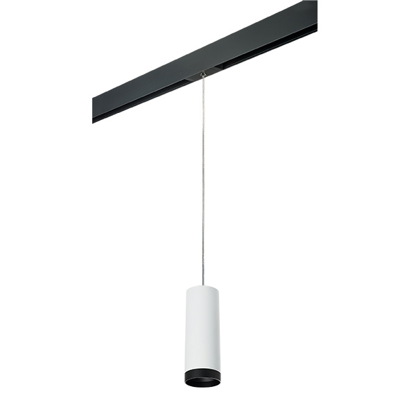 PRORP4863437 Светильник д/1-фазн трека RULLO HP16 (214486+595857+203437) в строительном магазине