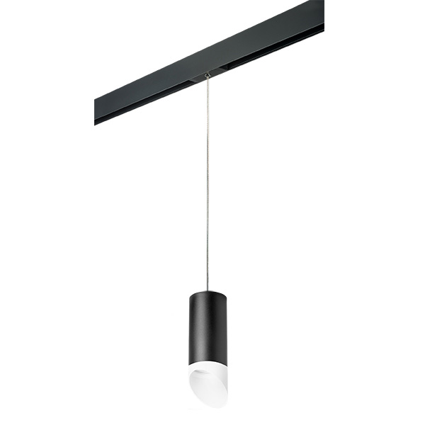 PRORP648786 Светильник д/1-фазн трека RULLO HP16 (216487+595887+201486) в строительном магазине