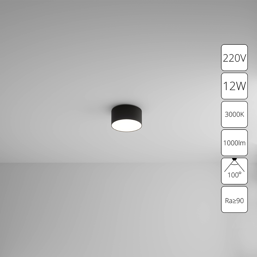 Потолочный светильник Arte Lamp FADO A7312PL-1BK в строительном магазине