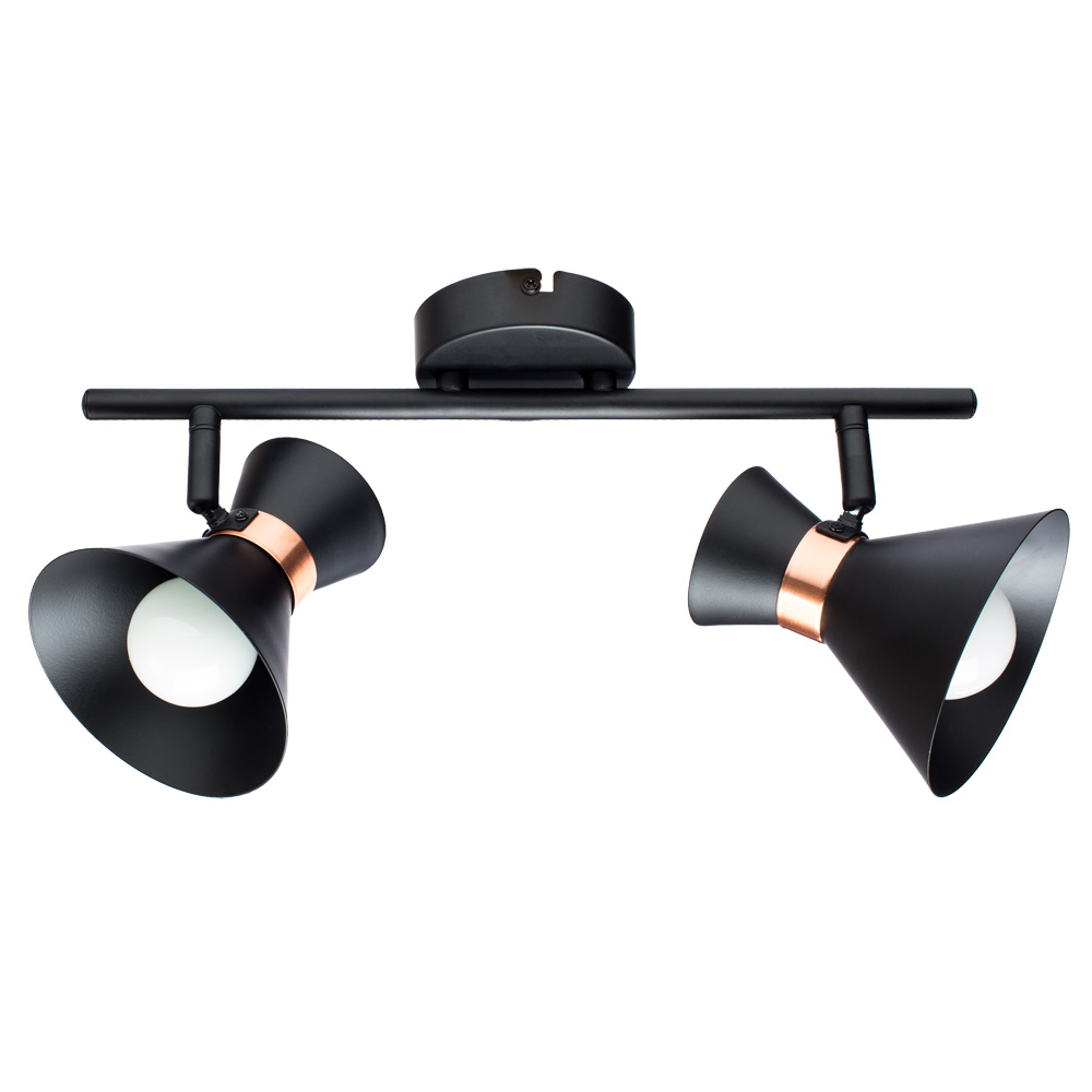 Спот Arte Lamp BALTIMORE A1406AP-2BK в строительном магазине
