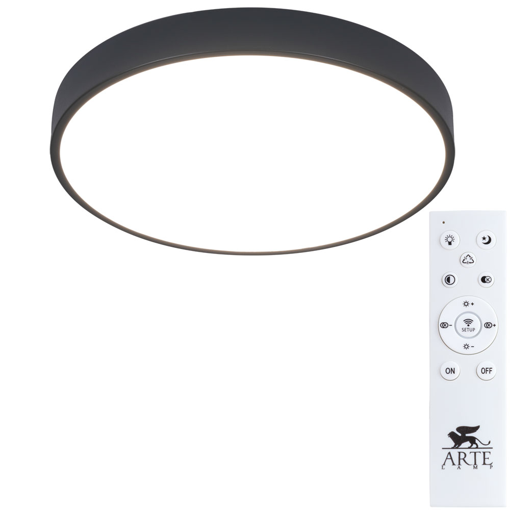 Потолочный светильник Arte Lamp ARENA A2661PL-1BK в строительном магазине
