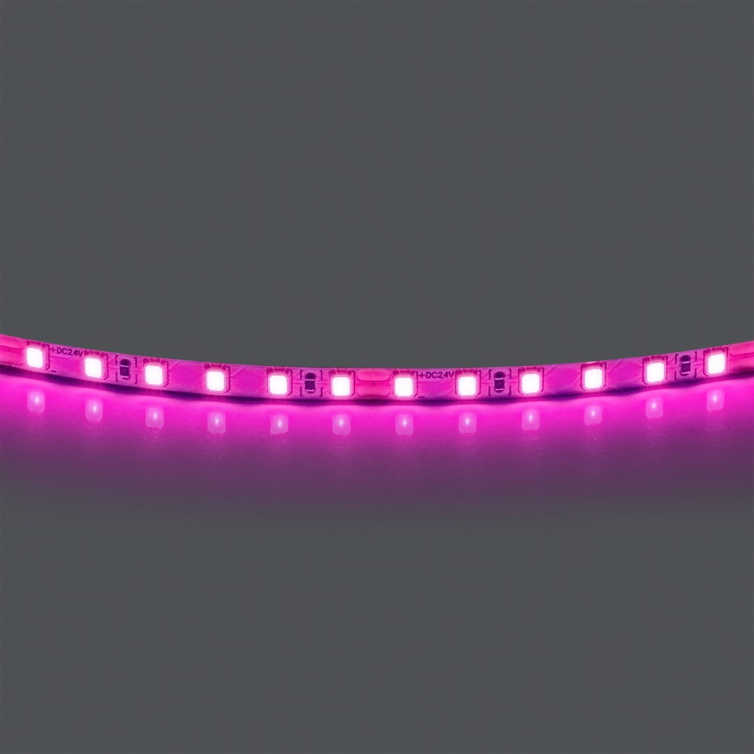 420512 Лента LIGHTSTAR LED 24V 12W 120leds/M 1600 LM/M pink IP20 1шт = 5м в строительном магазине