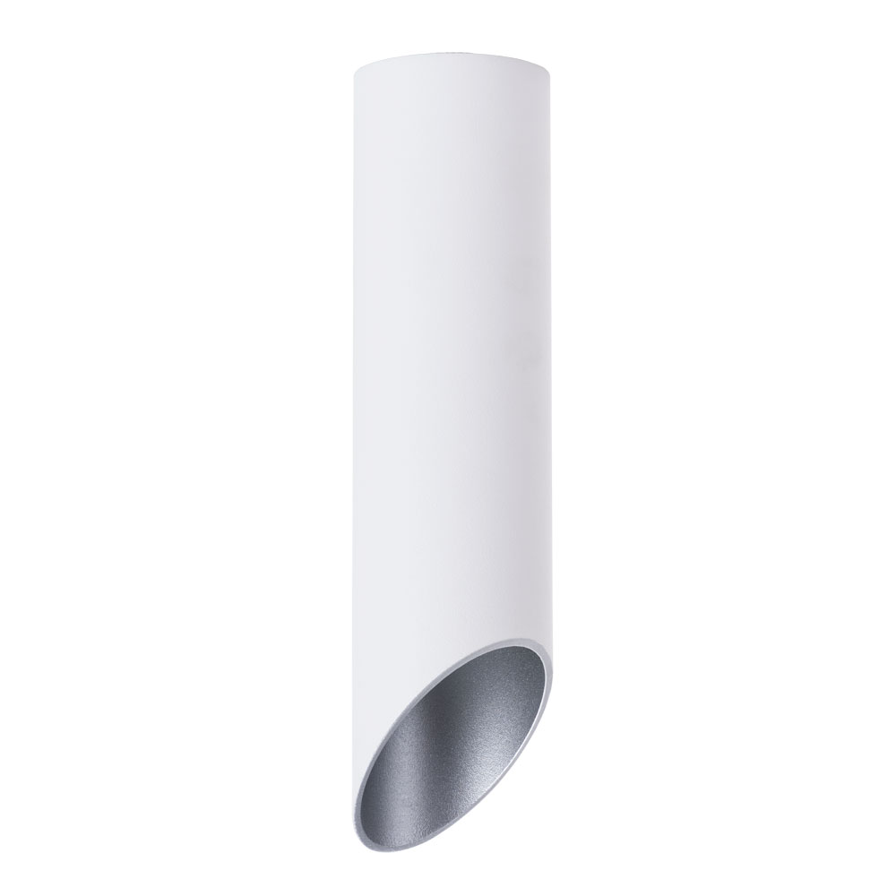 Точечный накладной светильник Arte Lamp PILON-SILVER A1535PL-1WH в строительном магазине