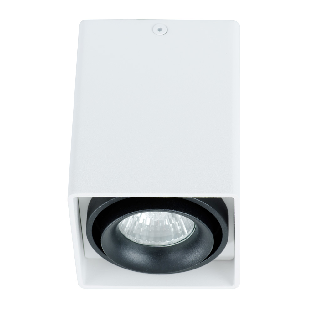 Точечный накладной светильник Arte Lamp PICTOR A5655PL-1WH в строительном магазине