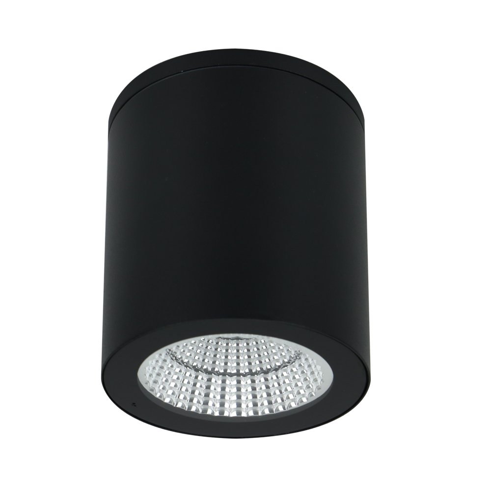 Уличный потолочный светильник Arte Lamp TORCULAR A1813PF-1BK в строительном магазине