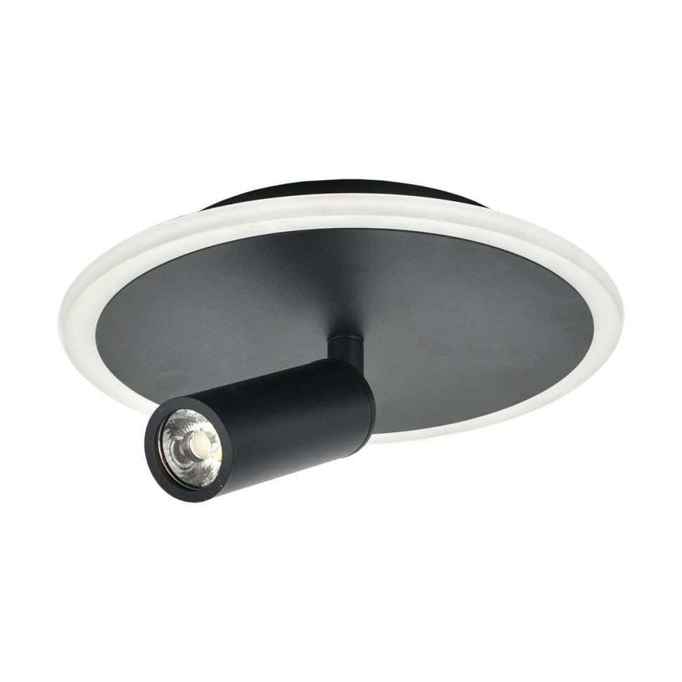 Потолочный светодиодный светильник Escada 20046SMA/01LED BK в строительном магазине