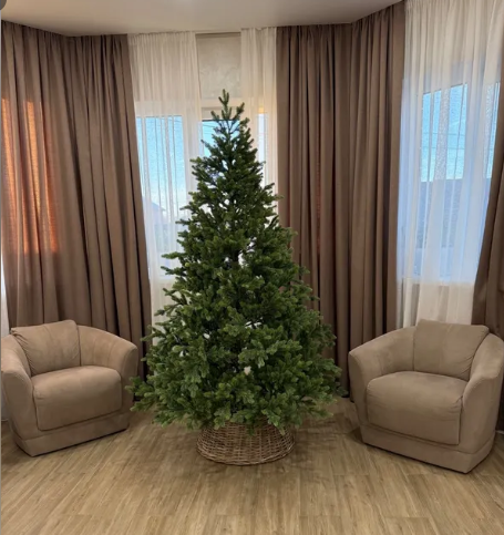 kak-vybrat-i-sokhranit-zhivuyu-elku (17).png kak-vybrat-i-sokhranit-zhivuyu-elku (17).png