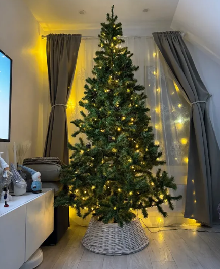 kak-vybrat-i-sokhranit-zhivuyu-elku (18).png kak-vybrat-i-sokhranit-zhivuyu-elku (18).png