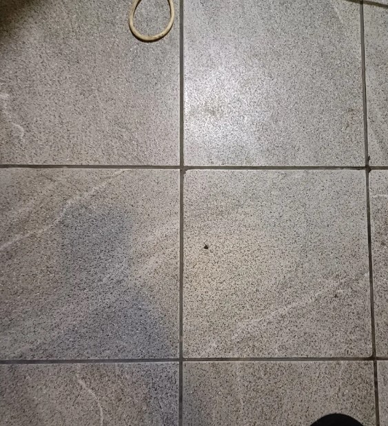 plitochniy-kley-kak-vybrat-pravilno (12).jpg plitochniy-kley-kak-vybrat-pravilno (12).jpg