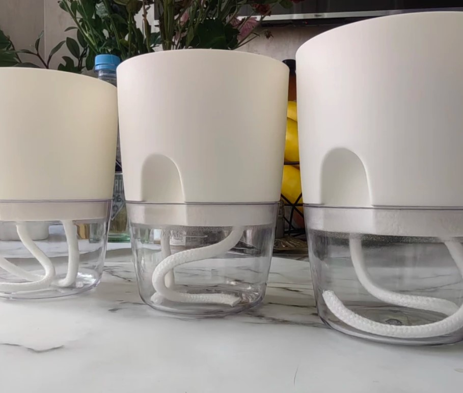 sovremenniy-ukhod-za-komnatnymi-domashnimi-rasteniyami-foto-primery (3).jpg sovremenniy-ukhod-za-komnatnymi-domashnimi-rasteniyami-foto-primery (3).jpg