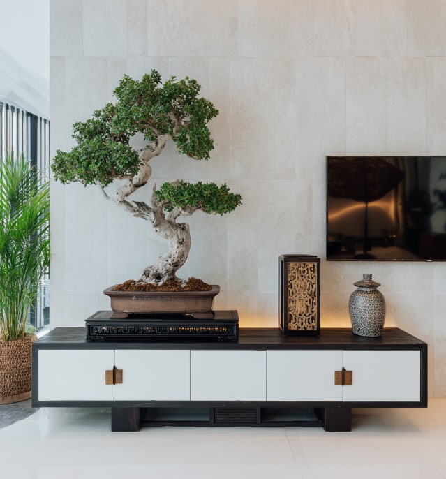 vyraschivaniye-bonsay-v-gorodskoy-kvartire-primery-foto-rasteniye-bonsay (27).jpg vyraschivaniye-bonsay-v-gorodskoy-kvartire-primery-foto-rasteniye-bonsay (27).jpg