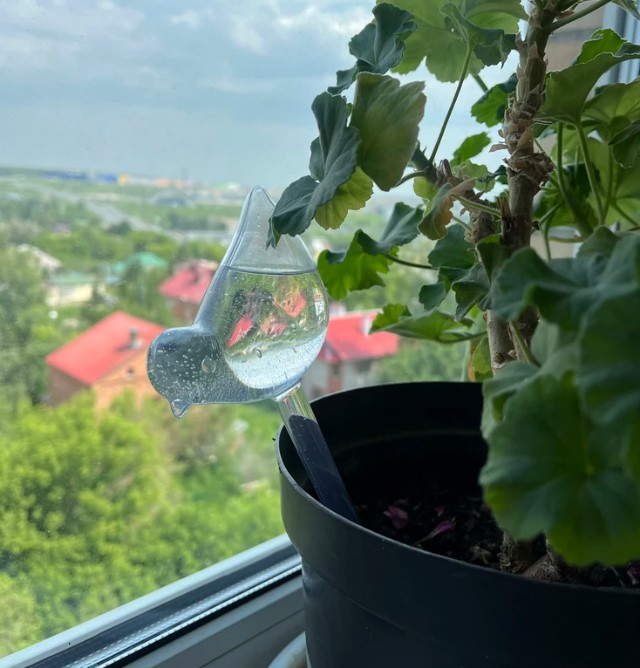 sovremenniy-ukhod-za-komnatnymi-domashnimi-rasteniyami-foto-primery (2).jpg sovremenniy-ukhod-za-komnatnymi-domashnimi-rasteniyami-foto-primery (2).jpg