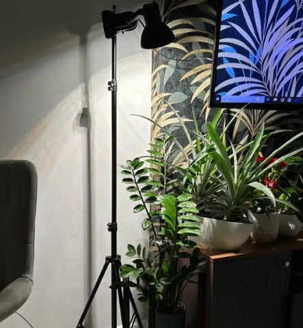 sovremenniy-ukhod-za-komnatnymi-domashnimi-rasteniyami-foto-primery (9).jpg sovremenniy-ukhod-za-komnatnymi-domashnimi-rasteniyami-foto-primery (9).jpg