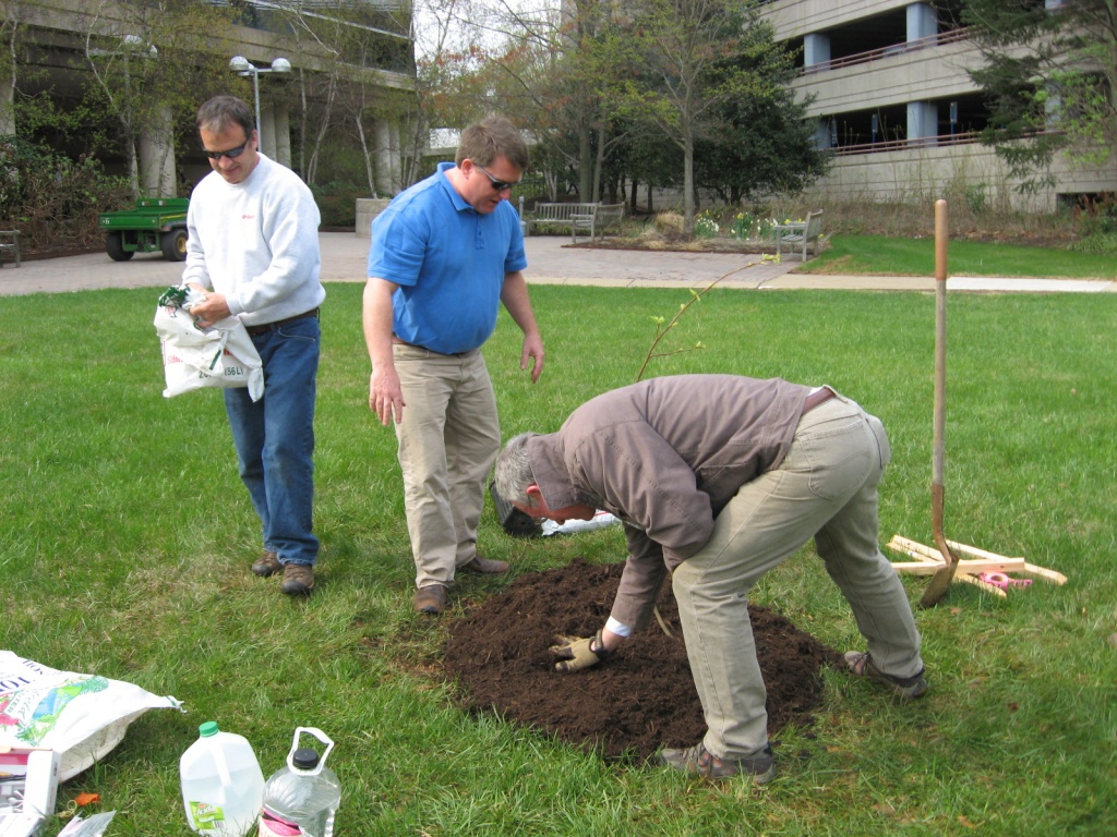 flickr.com.jpg flickr.com.jpg