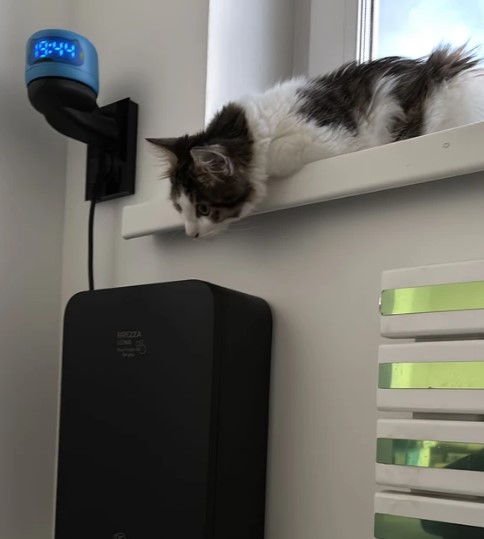 pritochniy-brizer-v-kvartire-pochemu-vokrug-stolko-mifov (12).jpg pritochniy-brizer-v-kvartire-pochemu-vokrug-stolko-mifov (12).jpg