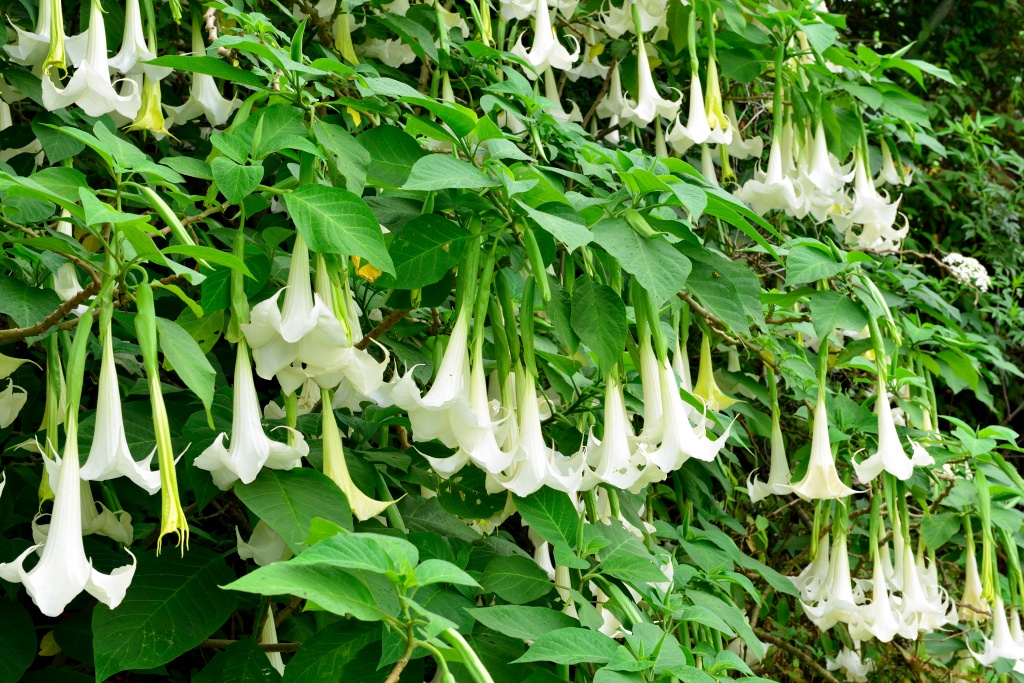 Depositphotos_31737475_xl-2015.jpg Depositphotos_31737475_xl-2015.jpg