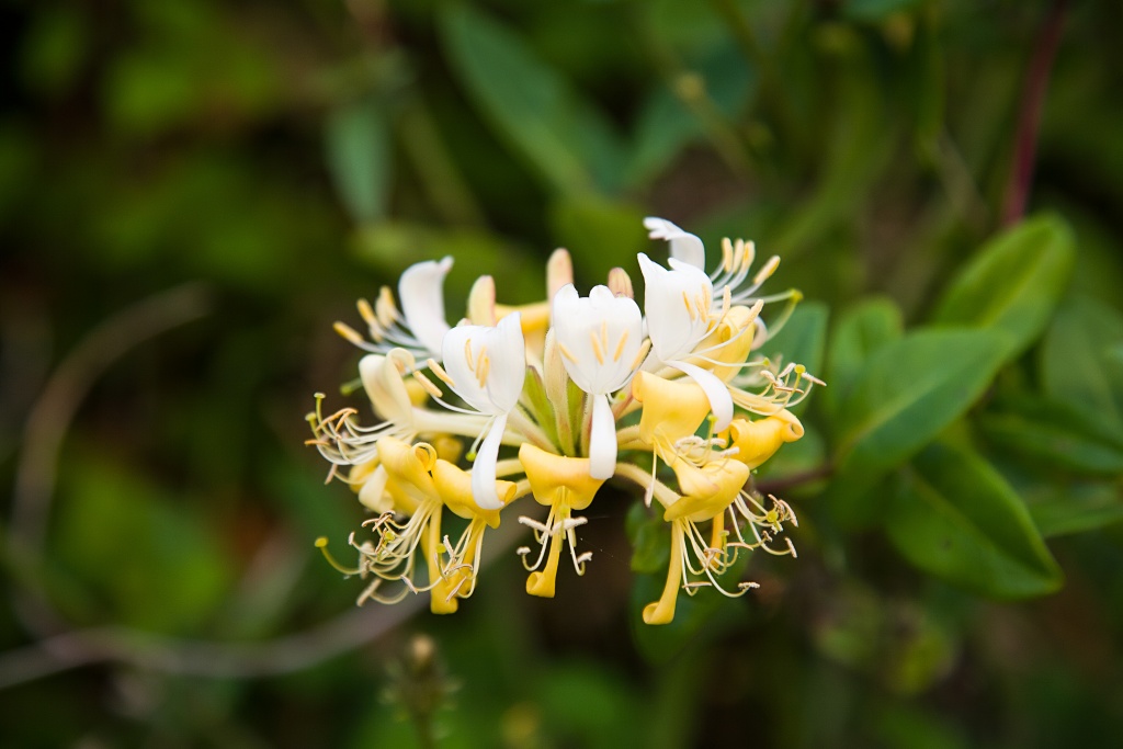 Depositphotos_142470169_xl-2015.jpg Depositphotos_142470169_xl-2015.jpg